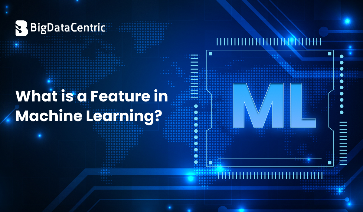 What is a Feature in Machine Learning