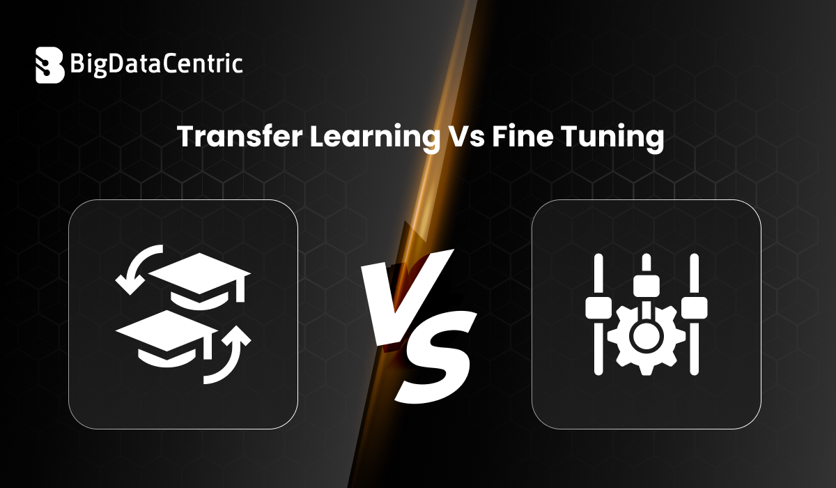 Transfer Learning vs Fine Tuning