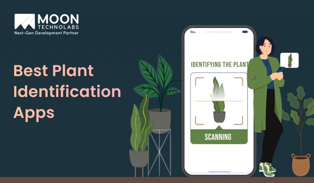 12 Best Plant Identification Apps for Instant Botanical Recognition