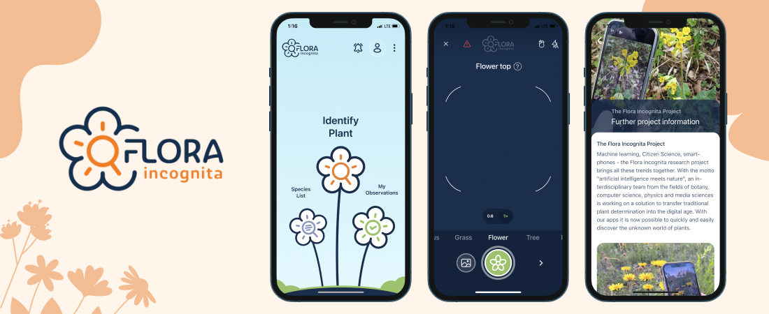 Flora Incognita | Best Free Plant Identification App 2021
