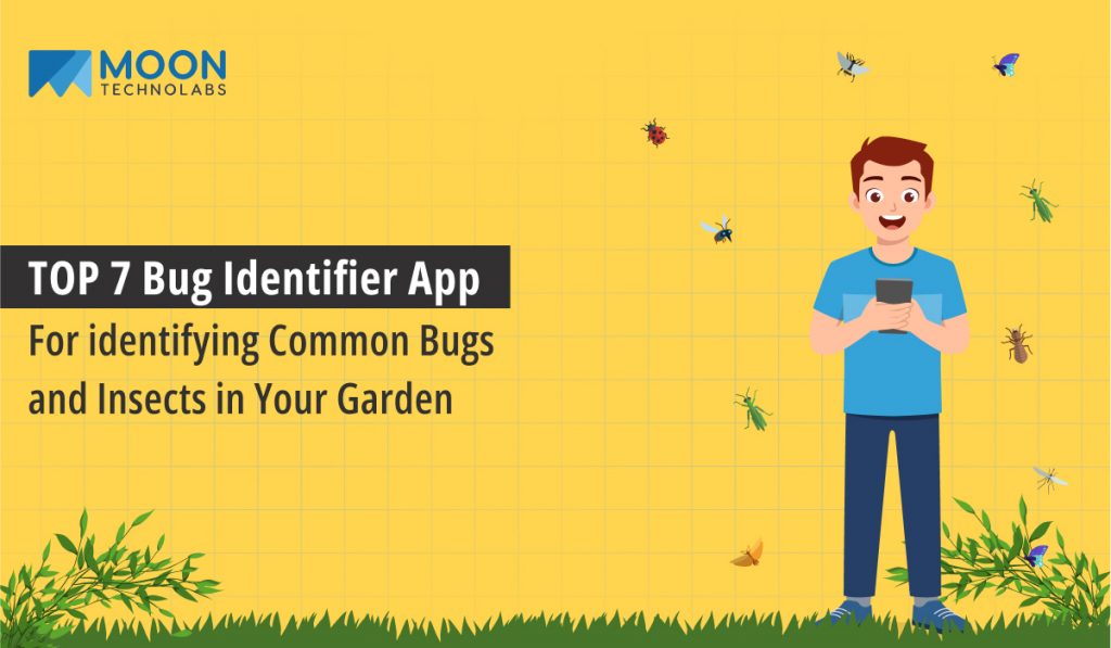Bug Identifier By Photo The One App Every Homeowner Needs - ck8wz3t
