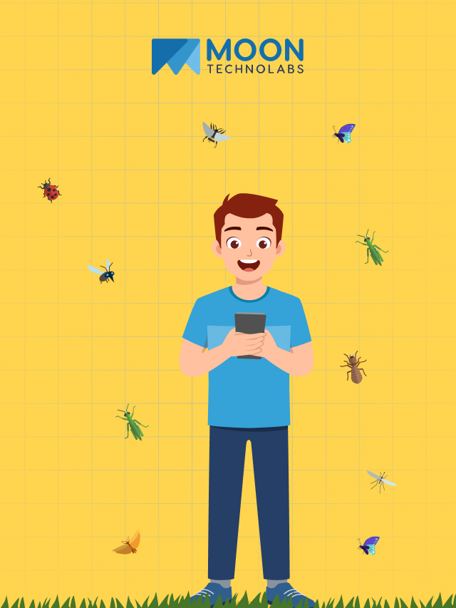 Top 7 Bug Identifier Apps for Identifying Common Bugs and Insects in